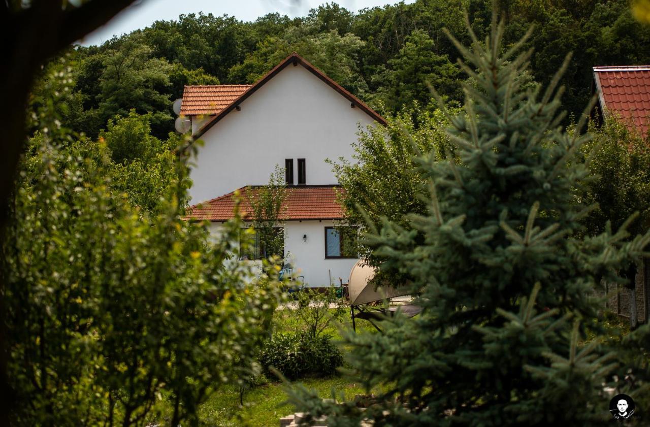 Vilafrancisca10 Alba Iulia Exterior foto